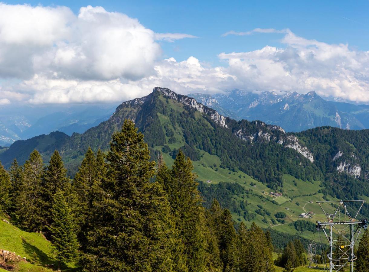 Rigi-Burggeist Alpine Guesthouse 盖尔绍 外观 照片