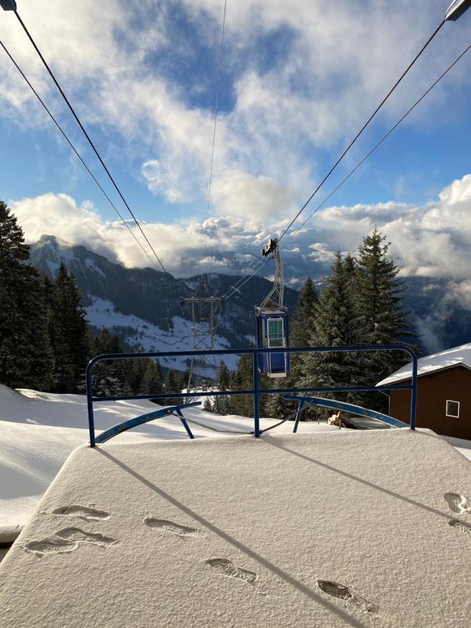Rigi-Burggeist Alpine Guesthouse 盖尔绍 外观 照片