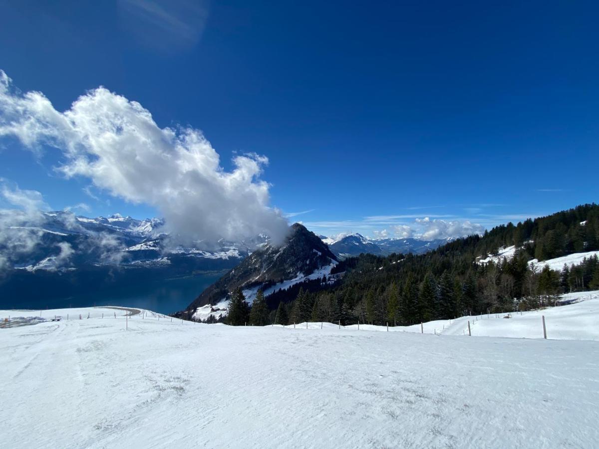 Rigi-Burggeist Alpine Guesthouse 盖尔绍 外观 照片