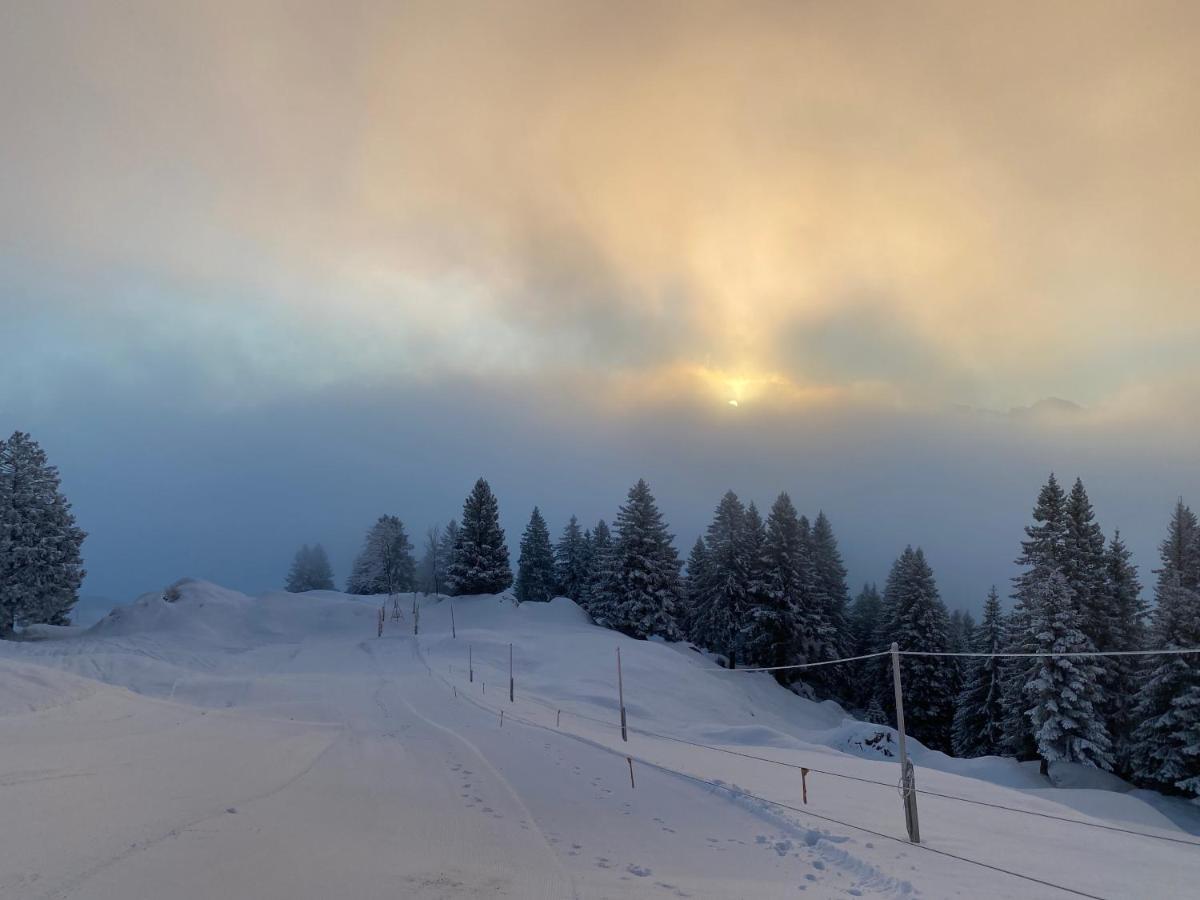 Rigi-Burggeist Alpine Guesthouse 盖尔绍 外观 照片