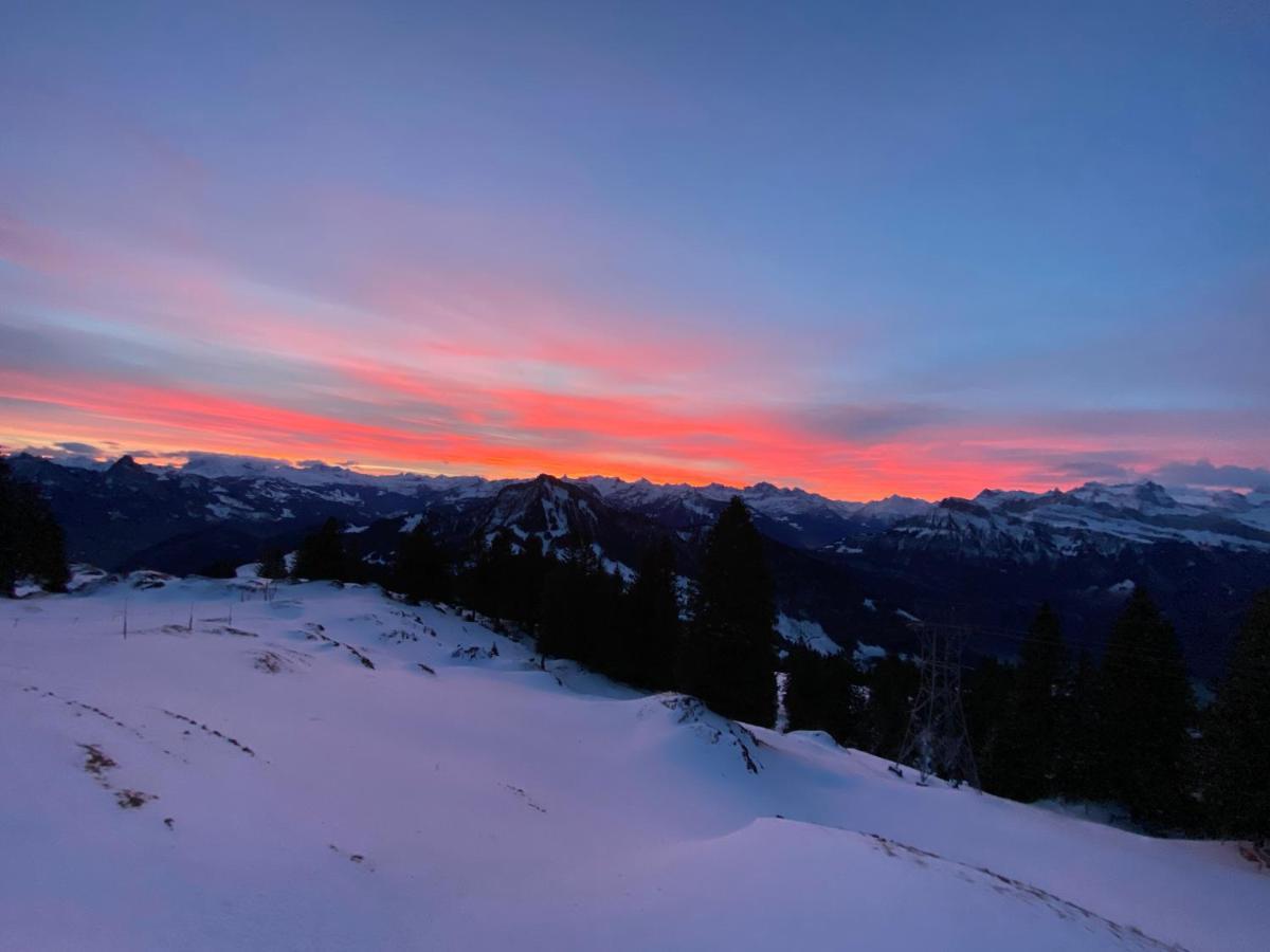 Rigi-Burggeist Alpine Guesthouse 盖尔绍 外观 照片
