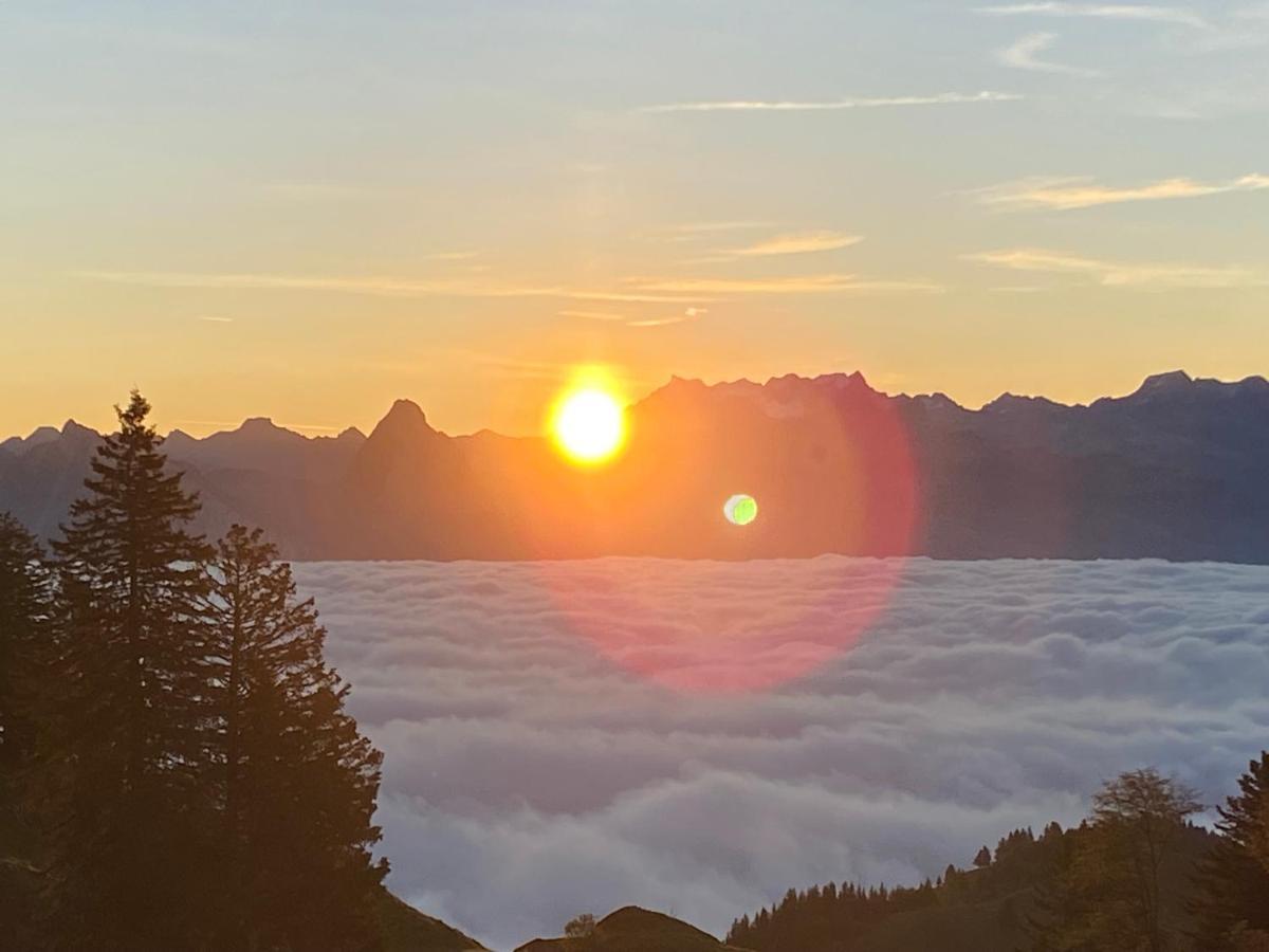 Rigi-Burggeist Alpine Guesthouse 盖尔绍 外观 照片