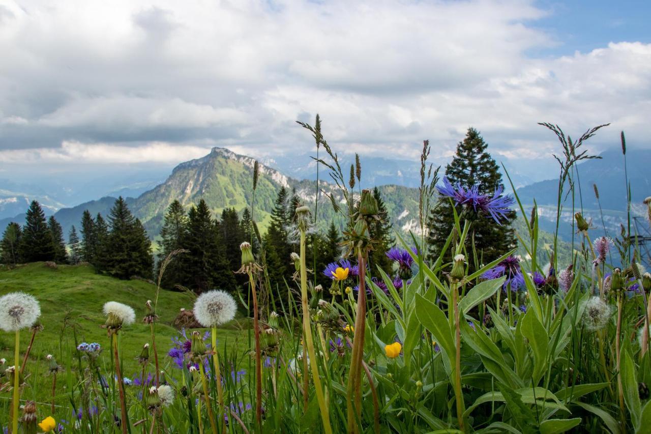 Rigi-Burggeist Alpine Guesthouse 盖尔绍 外观 照片
