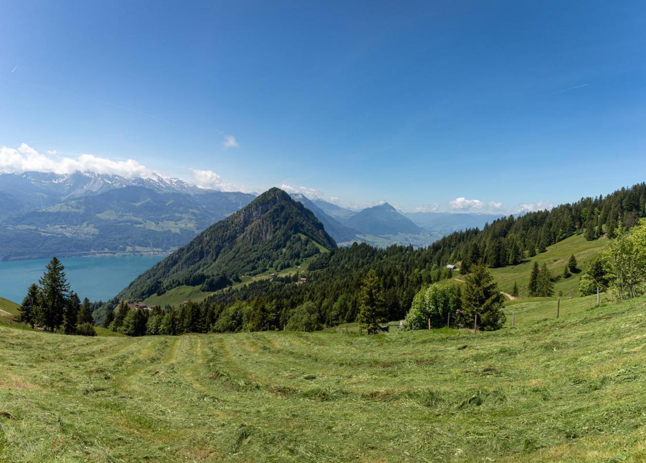 Rigi-Burggeist Alpine Guesthouse 盖尔绍 外观 照片