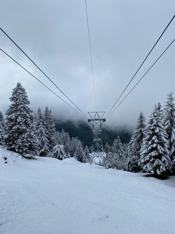 Rigi-Burggeist Alpine Guesthouse 盖尔绍 外观 照片