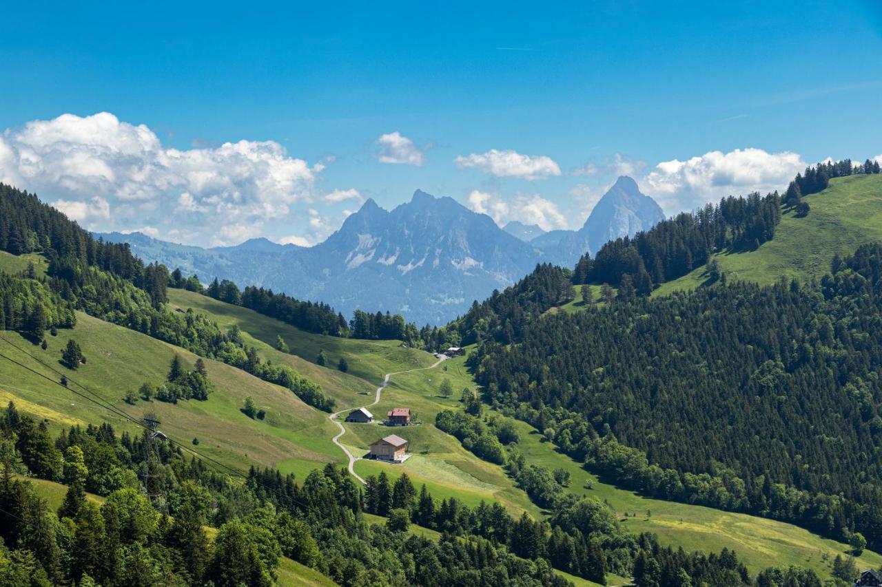 Rigi-Burggeist Alpine Guesthouse 盖尔绍 外观 照片