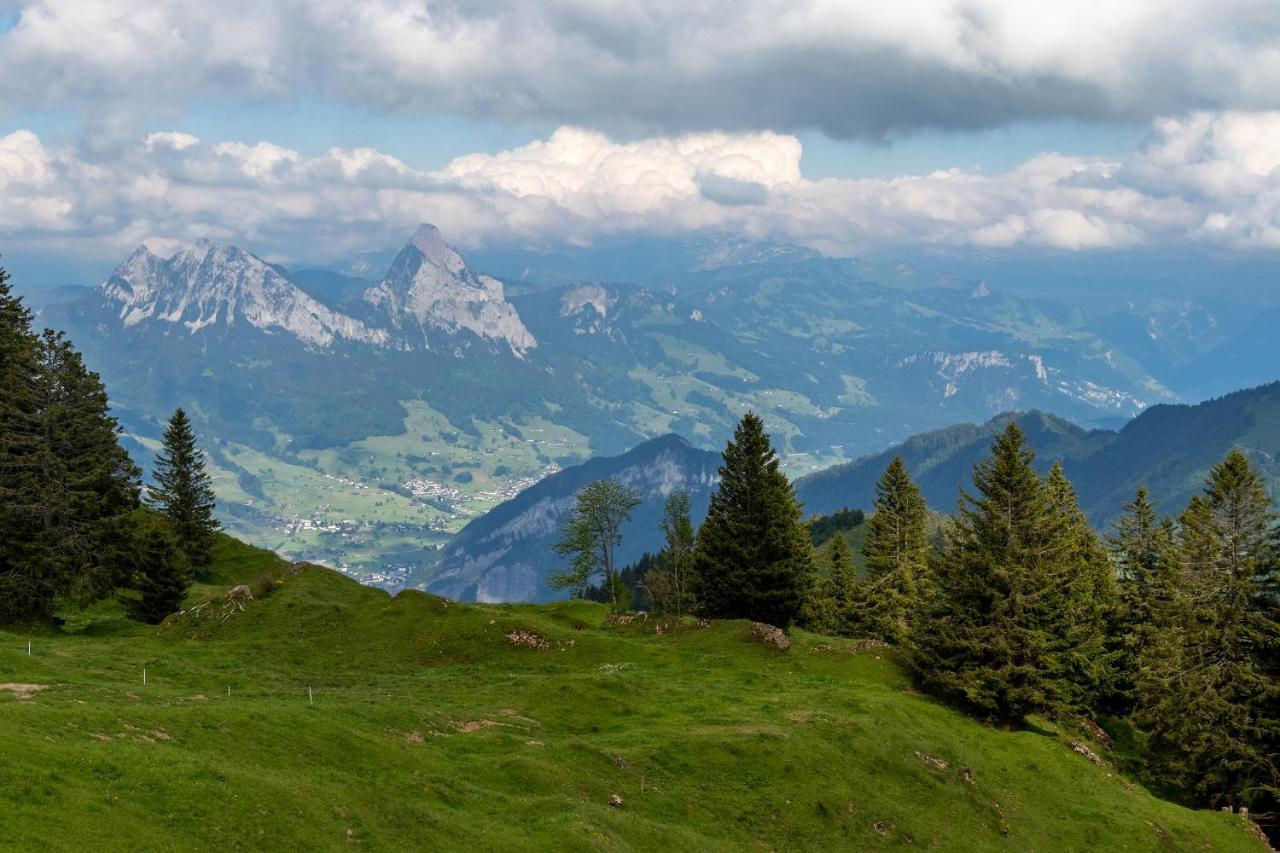 Rigi-Burggeist Alpine Guesthouse 盖尔绍 外观 照片