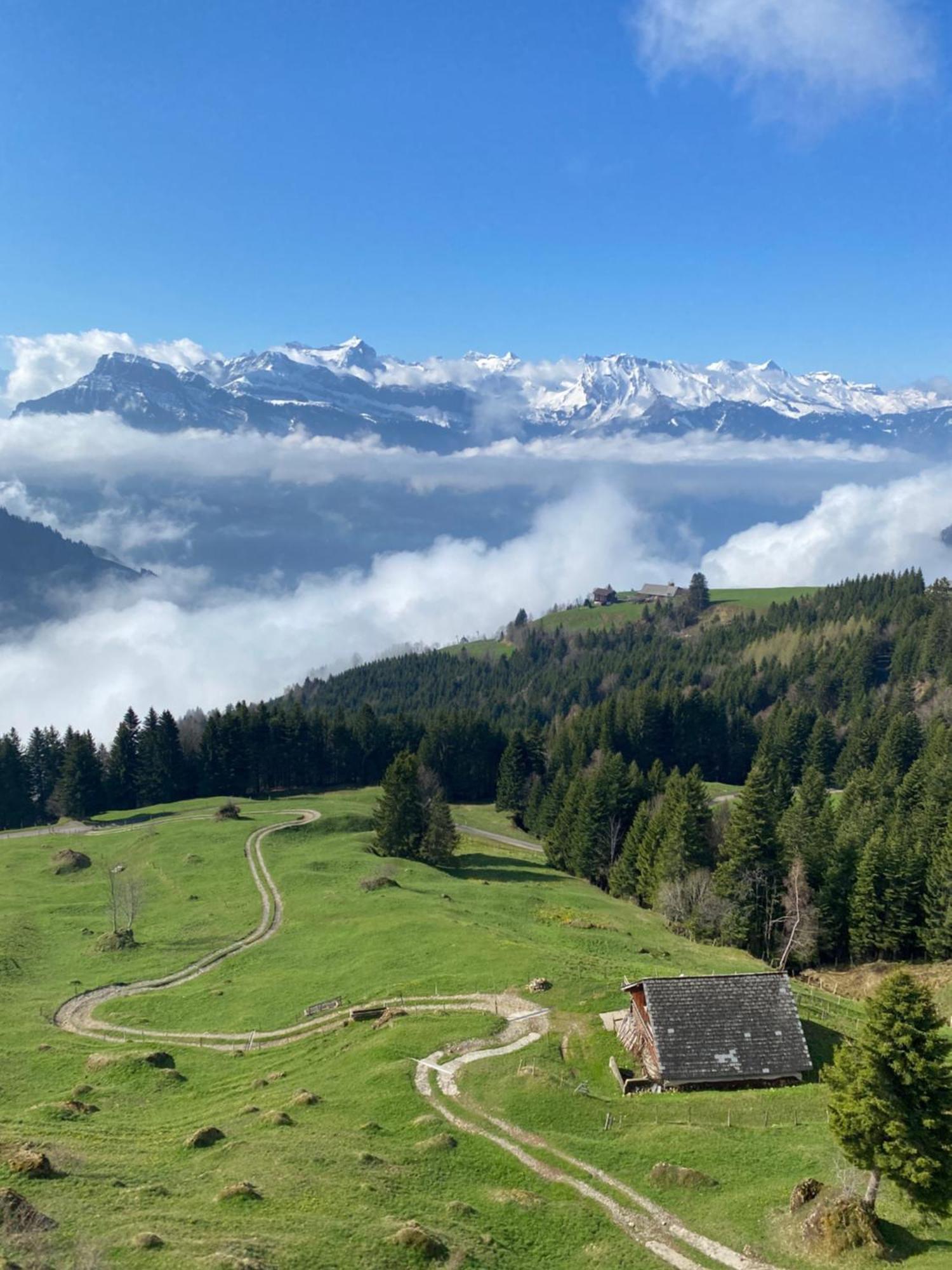 Rigi-Burggeist Alpine Guesthouse 盖尔绍 外观 照片